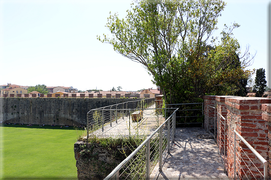 foto Camminamento delle mura di Pisa